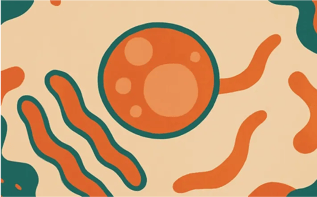 Lipid Kinetics-355x221