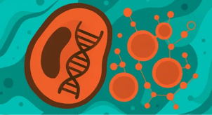 breath-tests-graphic-graphic-324x176