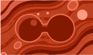 end-product-nitrogen-164x97