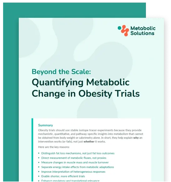 Beyond the scale document preview