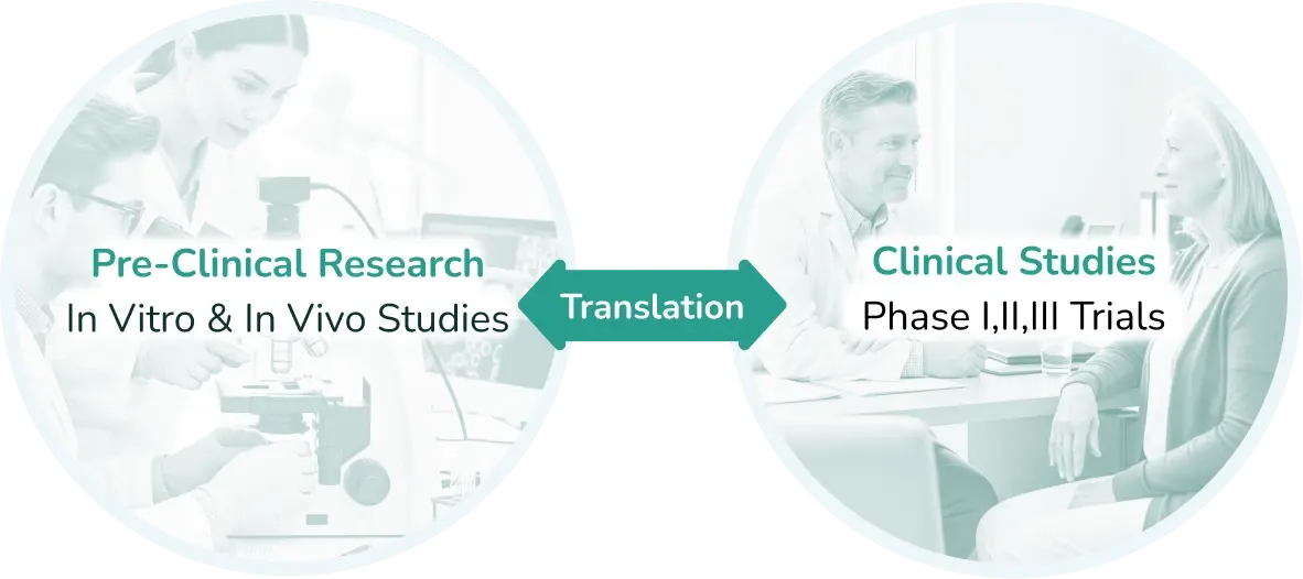 preclincal-clinical-translation