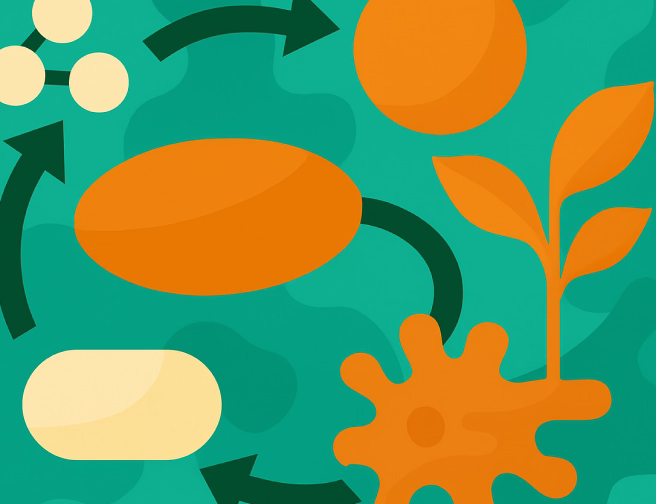 amino_acid_metabolism_328