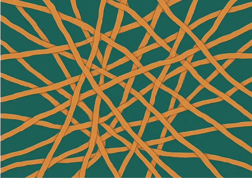 Fibrosis collagen turnover graphic