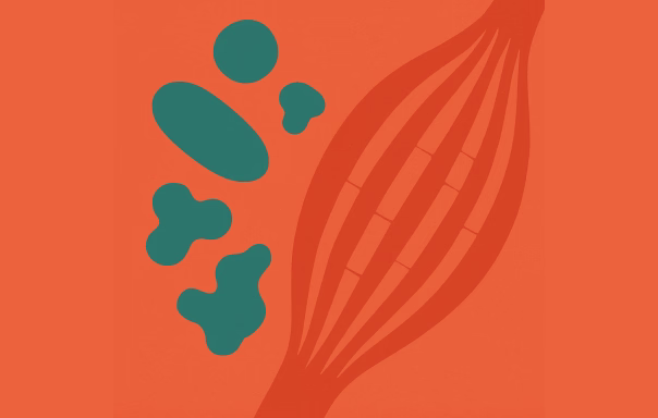 muscle measurements 302