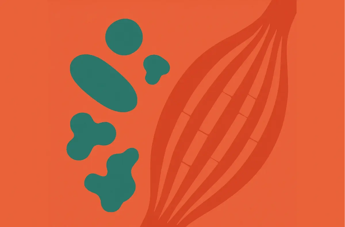 muscle_protein_turnover_655x433