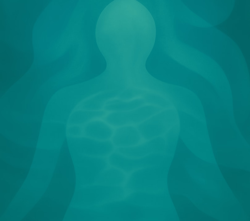 total_body_water_404