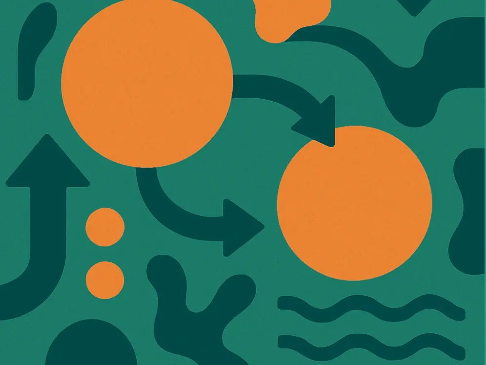 urea_cycle_function_498_395