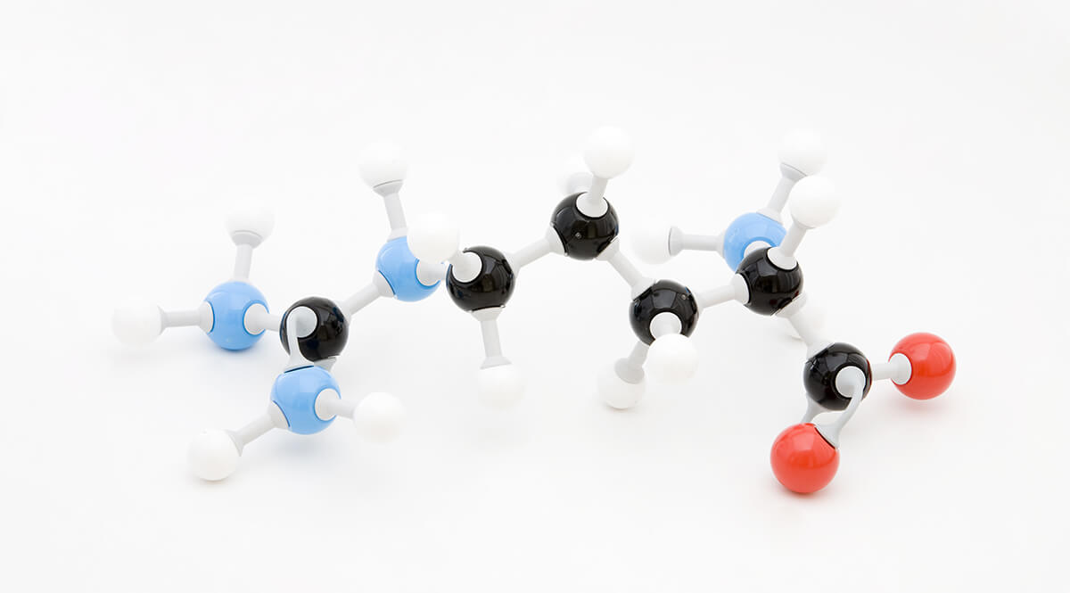 End Product Nitrogen Metabolism